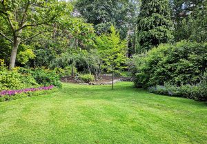 Optimiser l'expérience du jardin à Baslieux