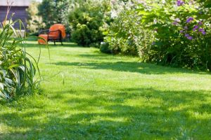 travaux jardin et paysage Baslieux